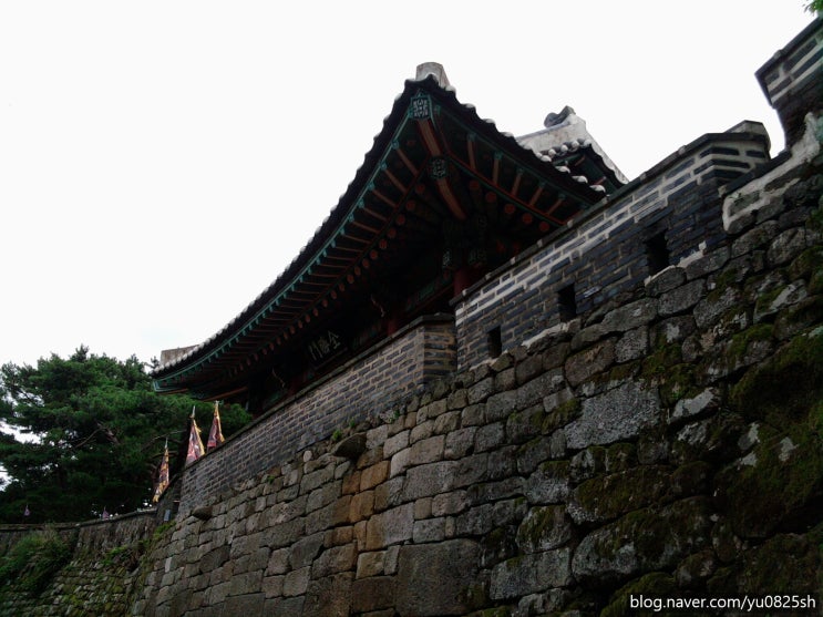  <Itinerary, 그리고 인생을 연재하다 5> 삼국지와 로마인 이야기