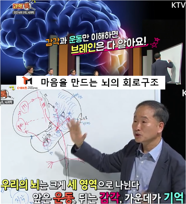  [진해수학학원/더매쓰] 기억과 중독의 구조/가시적 실체을 보다 (마음을 만드는 뇌의 회로구조)