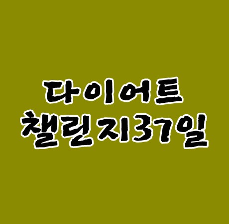 다이어트챌린지37일  11월건강하게 보내세요