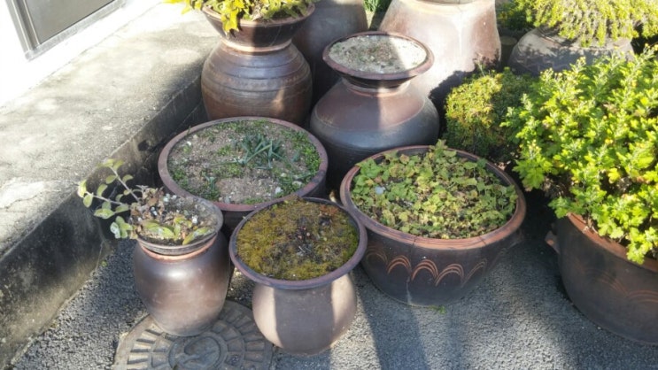 주말 시골집 마당에서 옛날 풍경을,절구통,맷돌,장독대 주말 시골집 마당에서 옛날 풍경을,절구통,맷돌,장독대