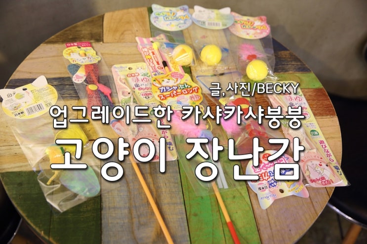  노르웨이 숲 고양이 삼식이 마약 장난감 카샤 카샤 붕붕 슈퍼롱 와이어 낚싯대