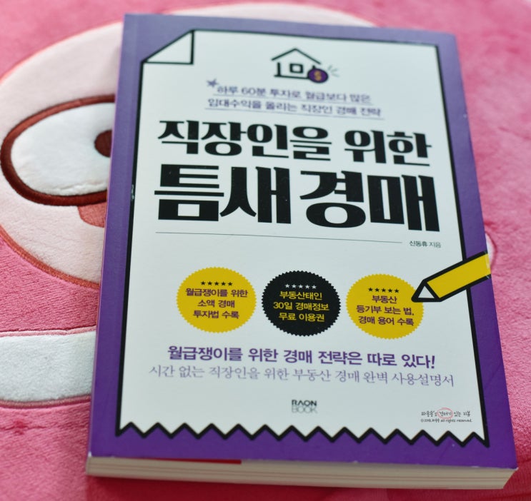  직장인을 위한 틈새 경매 - 경매공부를 위한 입문서