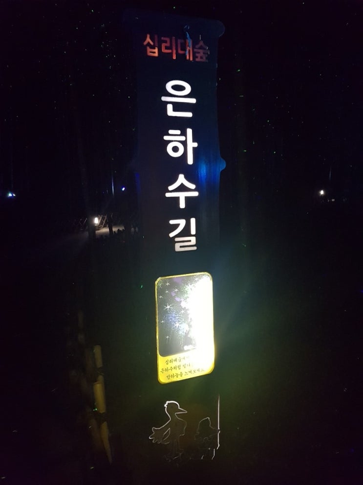  울산 십리대밭 은하수길 사진 찍기 좋은 곳 데이트 하기 좋은 십리대밭 은하수길