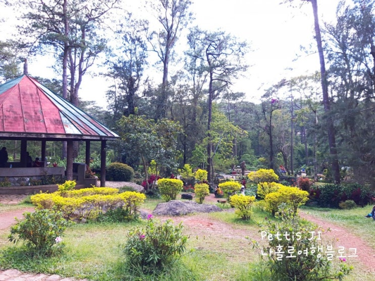 필리핀 바기오 가볼만한 곳! Baguio Botanical Garden, SM CITY BAGUIO