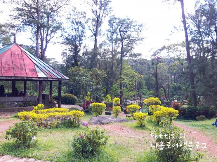  필리핀 바기오 가볼만한 곳! Baguio Botanical Garden, SM CITY BAGUIO