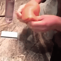 겁나 심기불편한 주인,.gif (주의) 겁나 심기불편한 주인,.gif (주의)