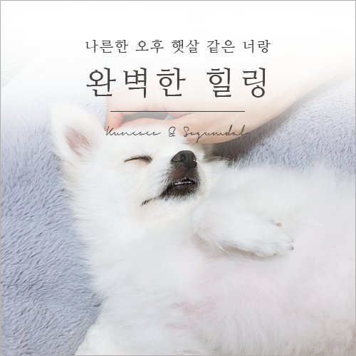  나른한 오후 햇살 같은 너랑, 완벽한 힐링