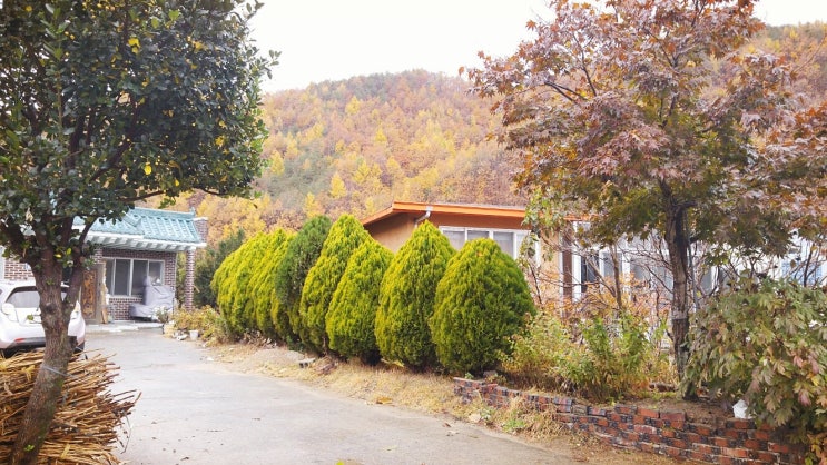  청송 가을풍경과 가족모임