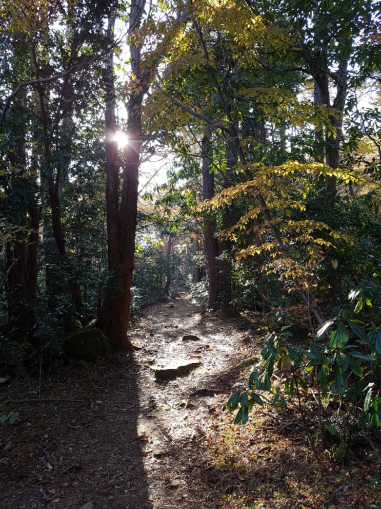한라산둘레길(돌오름길)_11월 4일