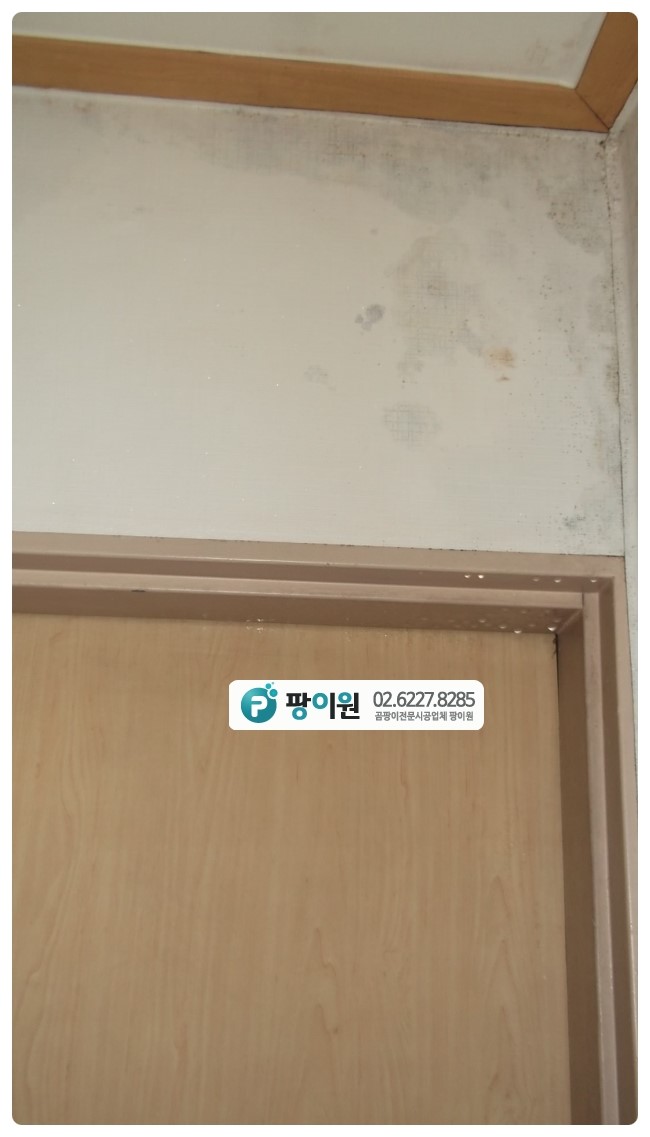  현관문 벽곰팡이제거 완전해결!