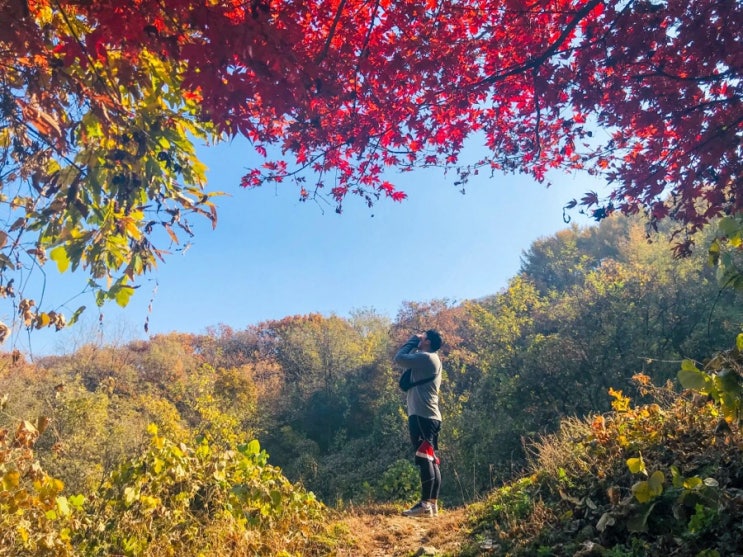  주말운동/양주숲길/은봉산/백패킹장소/양주트래킹