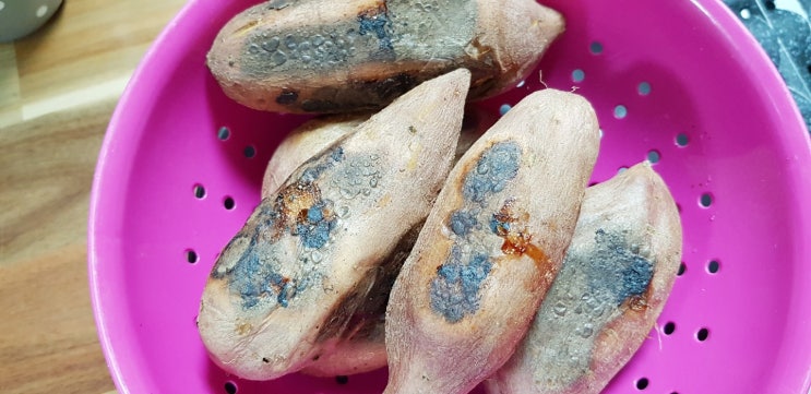  이맘때 먹어야지_쌀쌀하면 생각나는 따끈따끈 군고구마_오븐없이 만들어먹는 초간단 레시피.