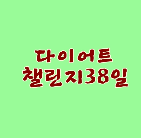 다이어트챌린지38일