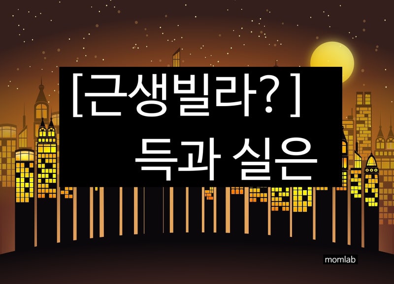 인근 빌라의 특징과 문제점 4