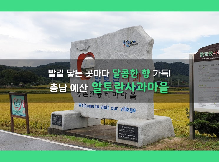  발길 닿는 곳마다 달콤한 향 가득! 예산 '알토란사과마을'