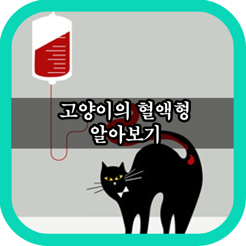  고양이 혈액형 알아보기