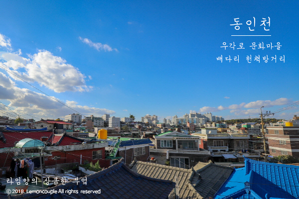 인천 우각로 문화마을, 배다리 헌책방거리 가을 출사 인천 우각로 문화마을, 배다리 헌책방거리 가을 출사