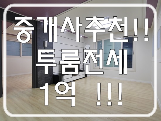  안중투룸전세 자재 좋고 수납 좋은 집 신혼부부 추천해요