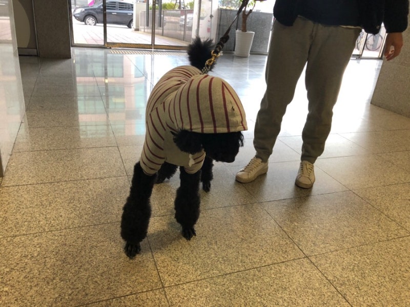 사진 3
