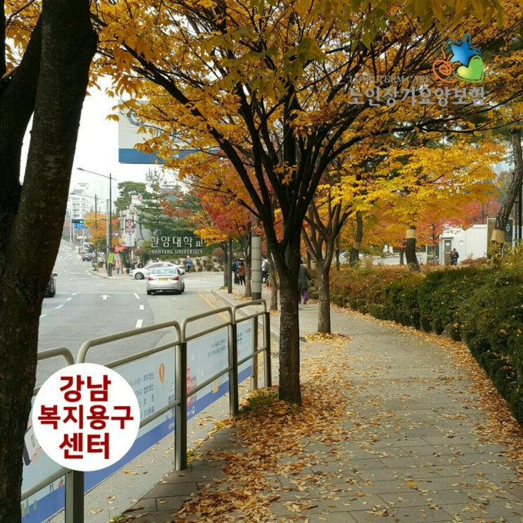  [노인장기요양등급 받는 절차] 신청부터 등급판정까지 진행 내용