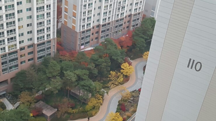  2018.11.06 - 출근길 가을 아침