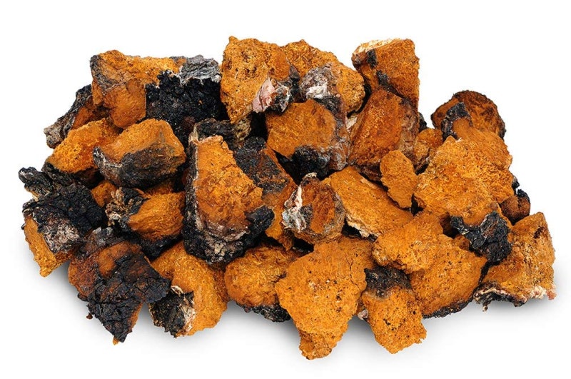 의학상식 ] 차가버섯(Chaga mushroom)의 증례 - 가락동, 석촌동, 송파동 피부과 : 네이버 블로그