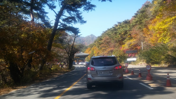  해인사 고불암 단풍구경과 현대식당에서 식사