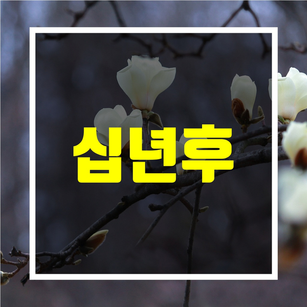  인생이 힘들때-[십년후]
