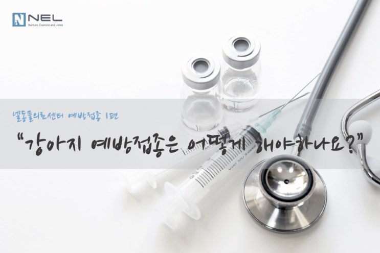  평촌24시 넬동물의료센터 예방접종1편 : 강아지 접종은 어떻게 해야하나요? 
