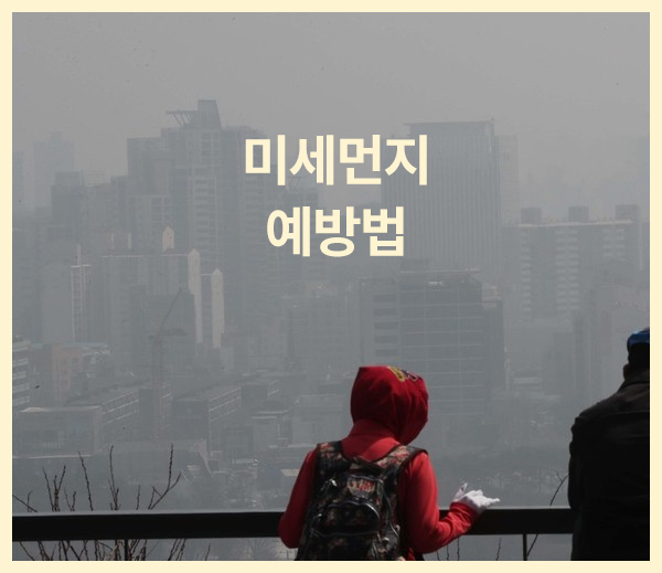  [미세먼지 예방법] 미세먼지와 예방법