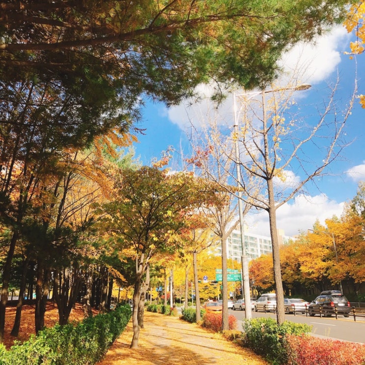  다름이 하나되어 보여주는 아름다움