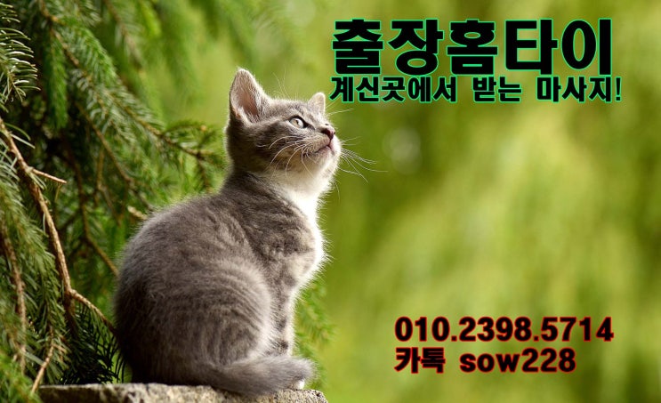  인천 부평 홈타이, 출장타이마사지 인천 다 가능!