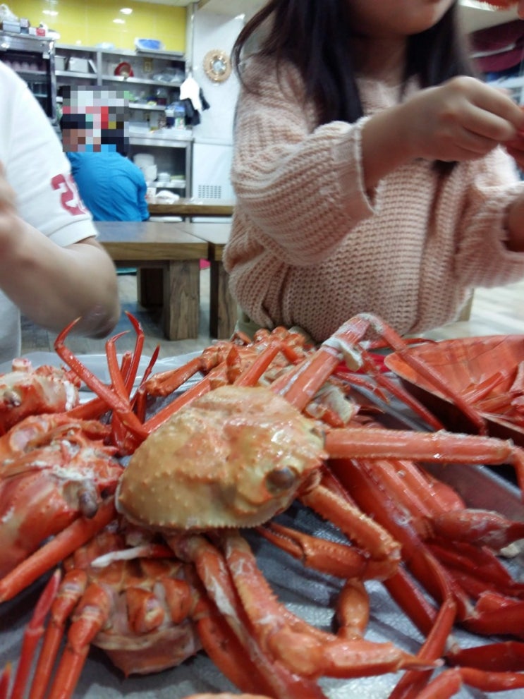 울진 홍게 배부르게 먹기 울진 홍게 배부르게 먹기