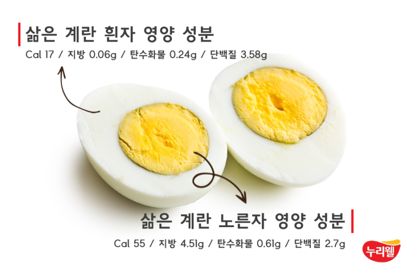 계란 노른자를 꼭 먹어야 하는 이유! 계란 노른자 영양 : 네이버 블로그 계란 노른자를 꼭 먹어야 하는 이유! 계란 노른자 영양 : 네이버 블로그