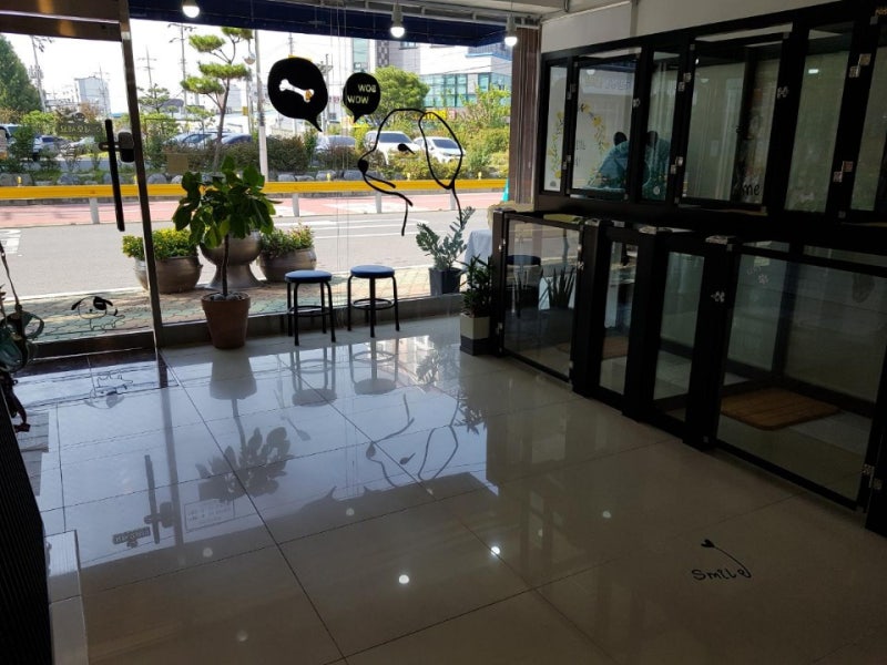 마이펫부티크