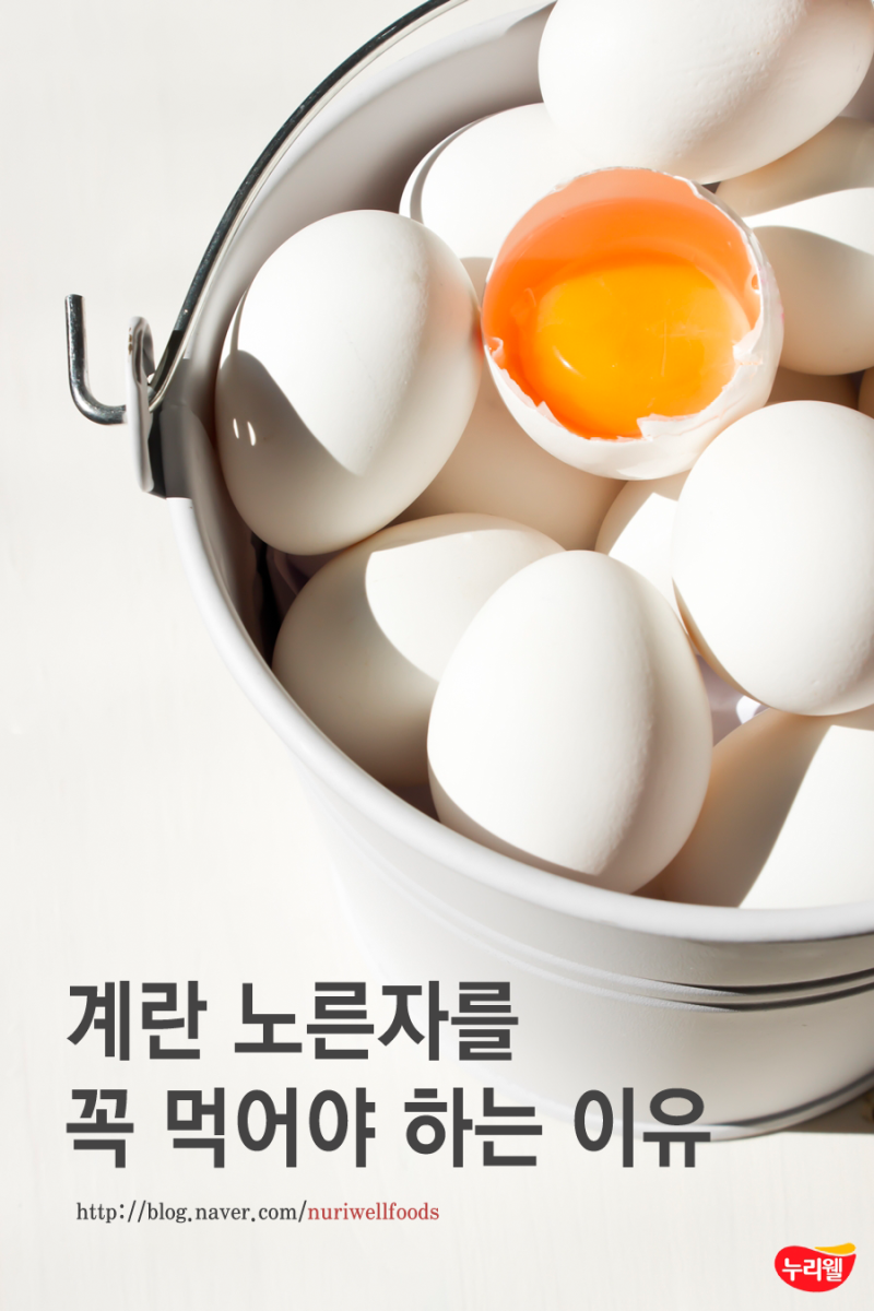 계란 노른자를 꼭 먹어야 하는 이유! 계란 노른자 영양 : 네이버 블로그 계란 노른자를 꼭 먹어야 하는 이유! 계란 노른자 영양 : 네이버 블로그
