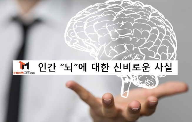 [진해수학학원/더매쓰] 당신이 몰랐던 인간"뇌"에 관한 신비로운 거짓과 진실  (동영상)