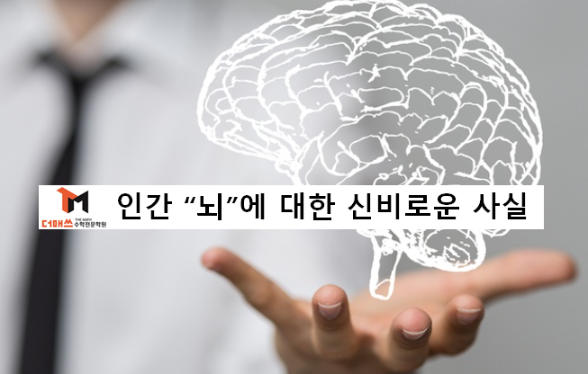  [진해수학학원/더매쓰] 당신이 몰랐던 인간"뇌"에 관한 신비로운 거짓과 진실  (동영상)