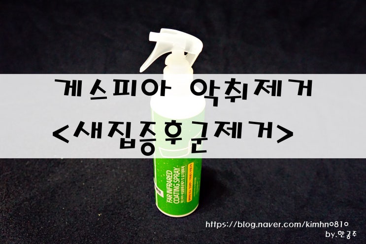  디아이티코리아 : 게스피아 : 새집증후군 유해세균 악취제거방법 실내냄새 곰팡이냄새 벽지냄새 제거제인데 코팅까지된다는~