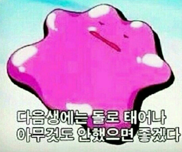  체험형 인턴 공고가 왜 이리 많나 했더니...?