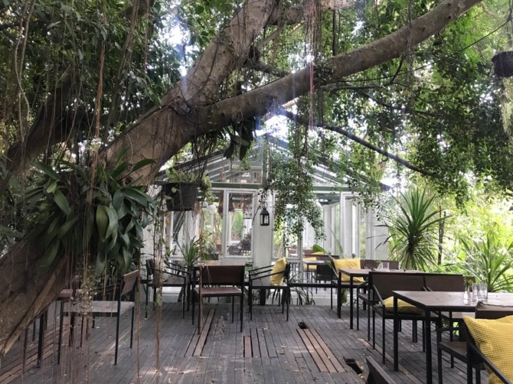파타야맛집 숲속의 온실같은 쿤스카페 koon’s cafe
