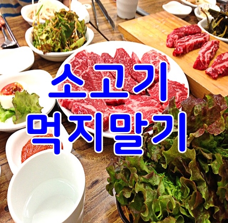 소고기먹지말자 기후재앙의 원인 조금이라도 줄여야 될것같아요
