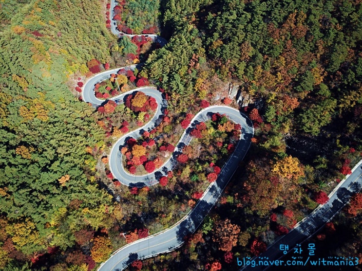  가을드라이브 단양 보발재, 홍천 은행나무숲, 횡성 태기산 다녀왔어요! 1편!