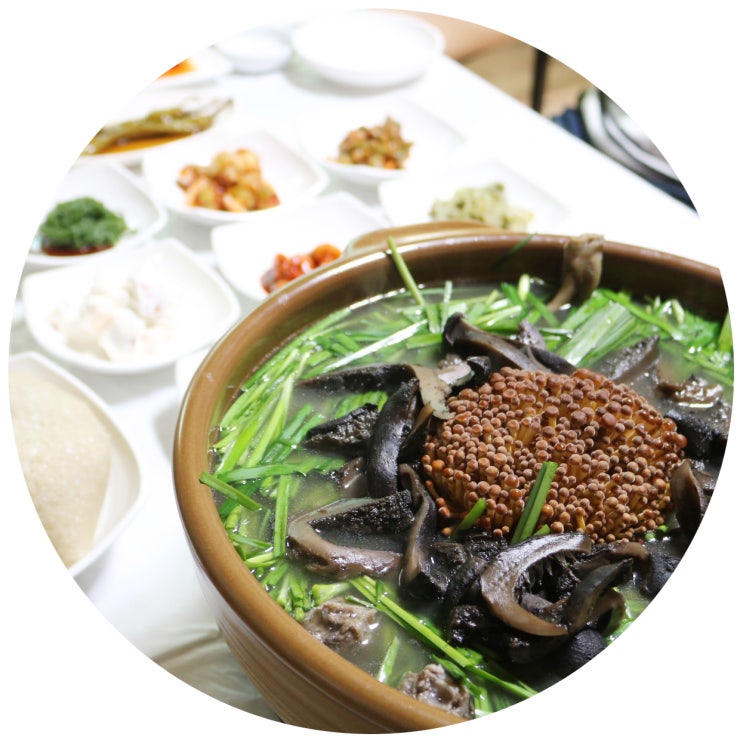  구월동 백숙 , 오리보쌈 맛집 이채은의 오리보감 능이백숙