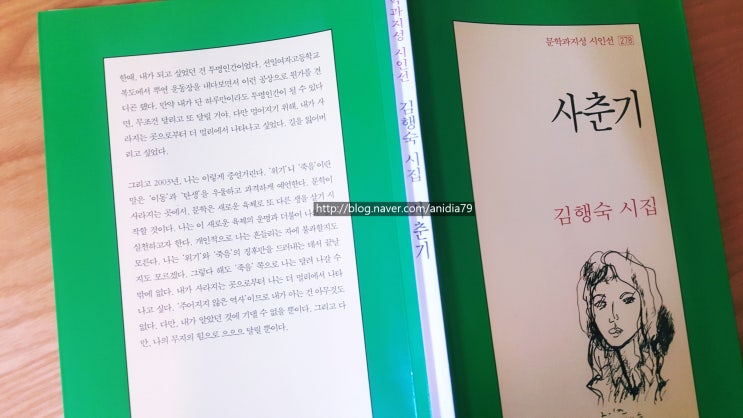  [음악과 독서][김행숙 詩,삼십세. 송창식 노래,밤눈]나의 가출 사건. 답을 구하는 모든 태도는 유아기적이다.