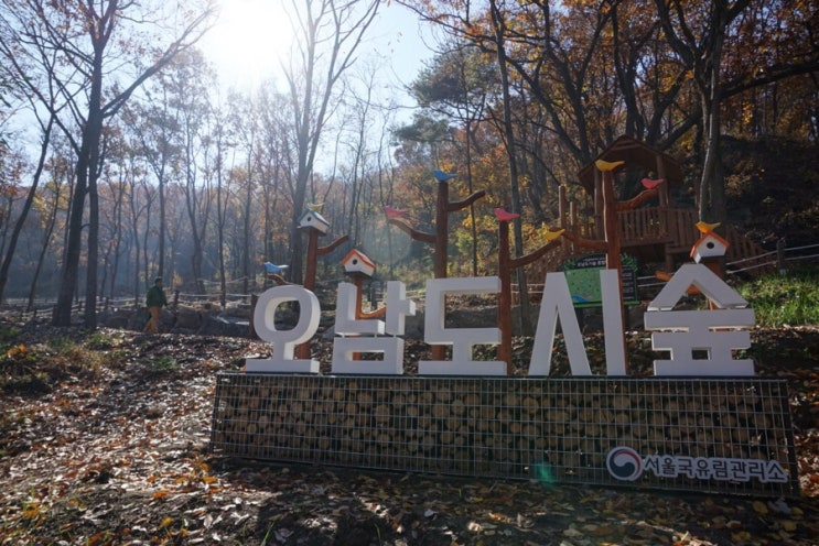 남양주 오남 호수 공원: 숲놀이터 오남도시숲이 생겼어요