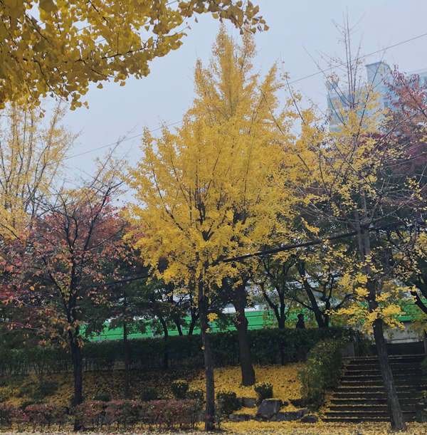  LG정수기렌탈 저렴하게 겟!