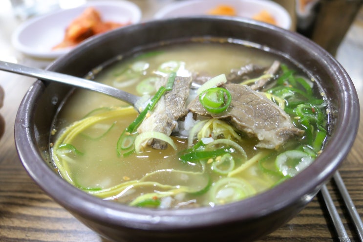  전남 나주 맛집 나주곰탕 하얀집