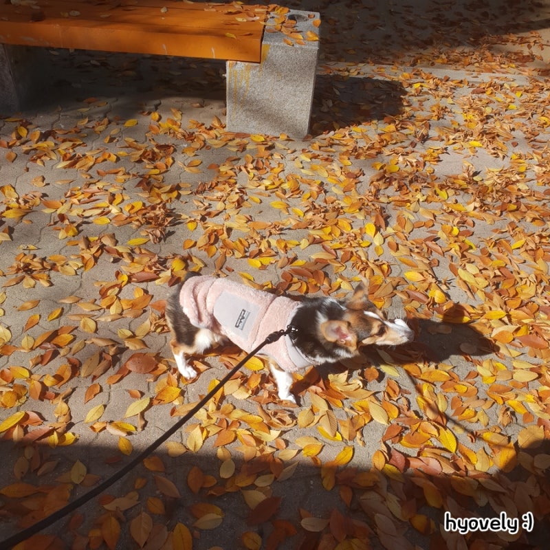 사진 2