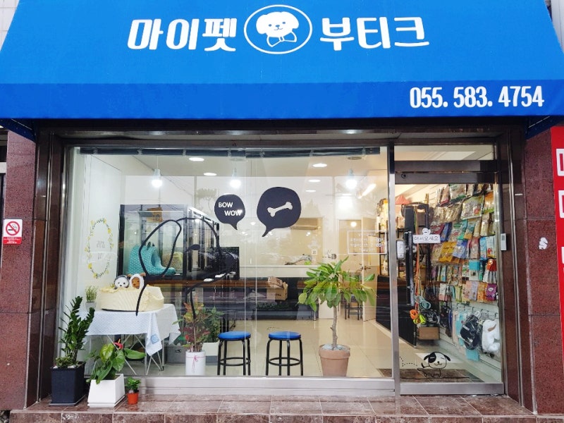 사진 2